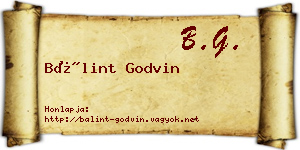 Bálint Godvin névjegykártya